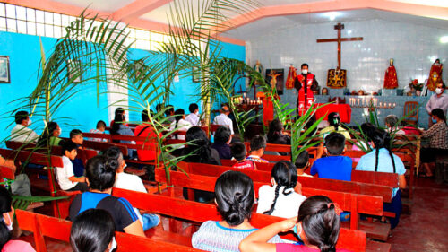 PARROQUIA SANTA TERESITA TINGO MARÍA: DOMINGO DE RAMOS