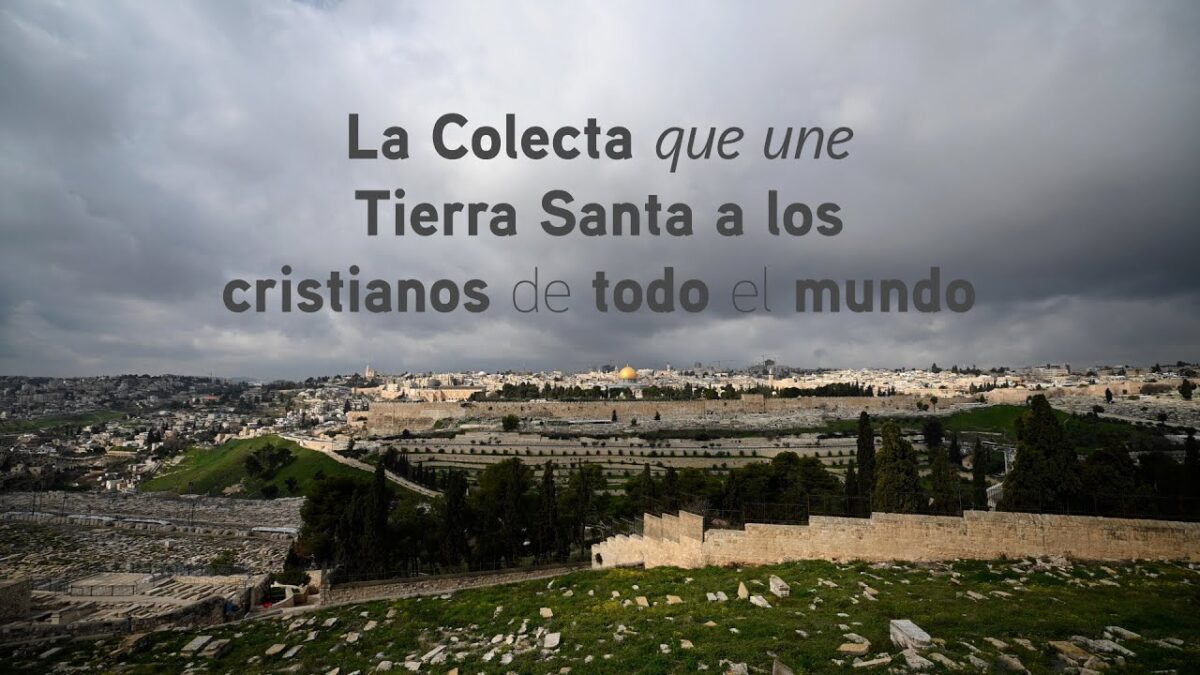 Colecta de Tierra Santa